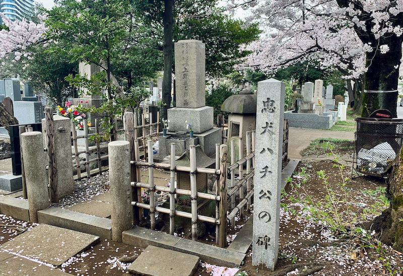 忠犬ハチ公の碑と上野英三郎の墓